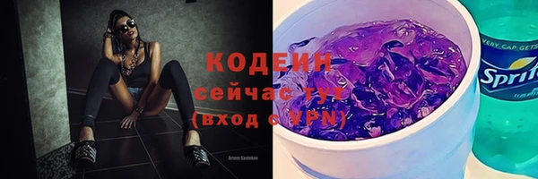 дурь Киреевск