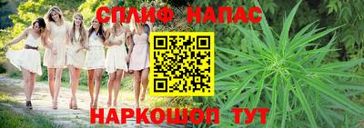 гашик Донецк