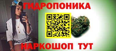 скорость Донской