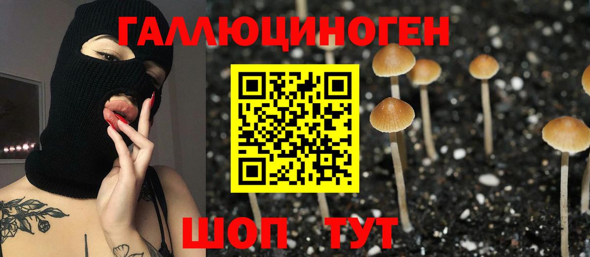 Псилоцибиновые грибы GOLDEN TEACHER  Вход с VPN  Каменск-Уральский 